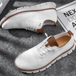 Walking Shoes | Mesh | Lightweight | Sneakers | Men's Shoes
