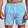 Swim Shorts | Striped | Elastic Waist | Swim Trunks | Men Beach Shorts