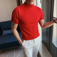 Knit T-Shirt | High Neck | Short Sleeve |  Turtleneck T-Shirt | Men's Clothing