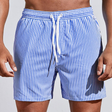 Swim Shorts | Striped | Elastic Waist | Swim Trunks | Men Beach Shorts