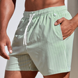 Swim Shorts | Striped | Elastic Waist | Swim Trunks | Men Beach Shorts