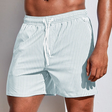 Swim Shorts | Striped | Elastic Waist | Swim Trunks | Men Beach Shorts